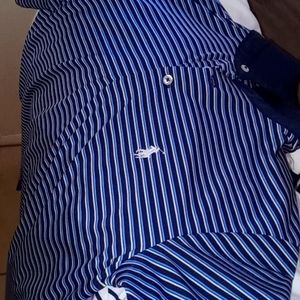 Polo Collared Shirts